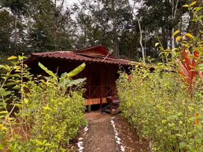 Sabalo Lodge Tours and Cabins - Image 4