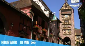 2 Charmants logements * CHARMANT GITE COLMAR * - Image 5