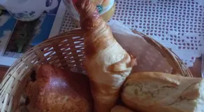 Les Nids de Mesanges Chambre d'hôtes - Image 4