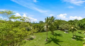 Rum Runner - Golden View 328 - Image 5
