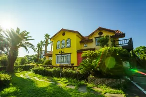 Lime Orange Vill - Image 3