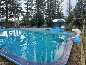 Villa Landis, Cipanas, Puncak, Jawa Barat - Image 3