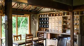 cofunia - Five Elements Retreat on the Yamanobe Trail - Image 5
