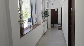 Rabarbar - Image 5