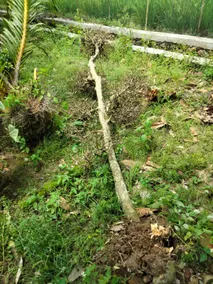 Unnamed property - Image 1
