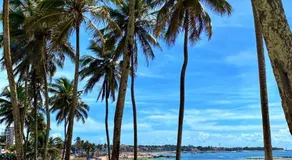 Paraíso dos Viajantes - O PREFERIDO - Image 3