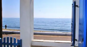 Tinos Koralli - Image 5