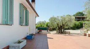 Gli olivi - Image 4