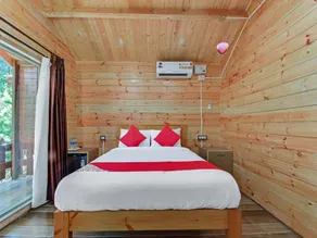 Coorg amodhini - Image 2