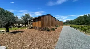 Lodges dans les vignes Domaine Terre des Mages - Image 5