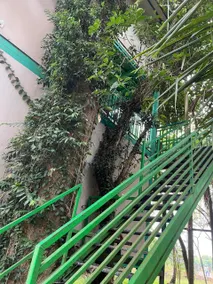 Storey Tree house - Sathar Resort - Image 2