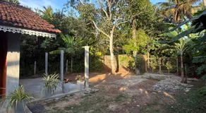 Asaliya - Image 2