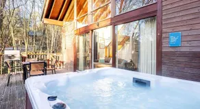 Deerpark Cabins, Cornwall - Forest Holidays - Image 3