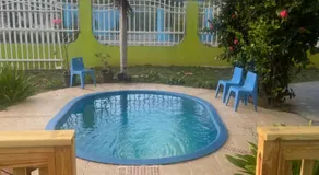 Combate Green House - Image 5