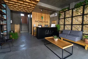 Hotel Momotus Tuxtla, en el centro - Acceso autónomo - Image 3