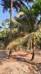 Tarkarli bliss - Image 4