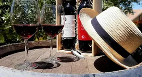 L'Olivo nel Chianti - Image 5