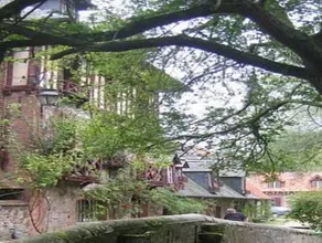 Le Moulin Fleuri du Petit Appeville - Image 4