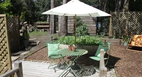 The Green Room - Image 4