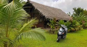 Fare Tearenui - Image 5