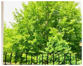 Carlton House Sleeps 5 Manchester and Peak District Free Car Parking - Image 3