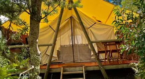 Wingtons Glamping - Image 5