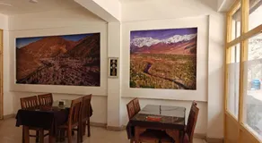 The Apricot Palace - Image 2