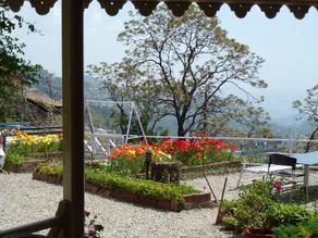 Hotel Padmini Nivas - Image 5