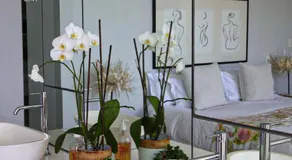 Saad B&Bs and accommodations - Image 3