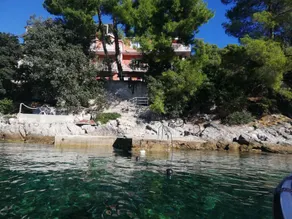 Apartments Dalibor - Image 3