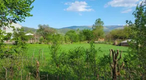 Agroturizem Devin - Image 4