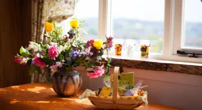 The Queen Bee Cabin - Image 5