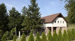 Vila Davidovic-Fruska gora - Image 5