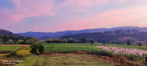 Green Meadows Farm Stay - Image 5