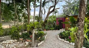 La Selva - Image 5