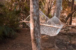Namaste Jungle - A Boutique Homestay - Image 2