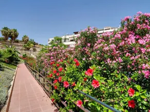 Del Parque Flats - Golf & Beach Terrace - Image 2
