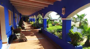 Arte Vida - Image 4