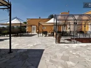 Tenuta Masseria del Gallo - Image 4