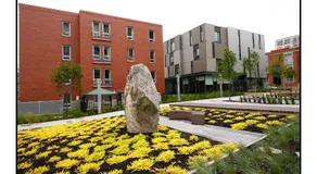 Résidences Université du Québec - Image 4