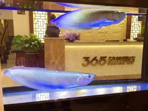 河口365快捷酒店 - Image 3