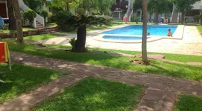 Tropikana Park IV - Image 4