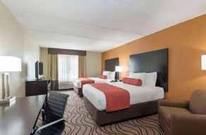 Comfort Inn & Suites Tampa North I-75 - Image 2