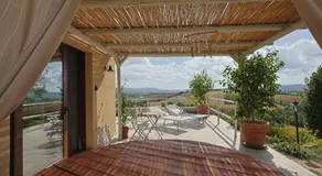 Tenuta Poggio Piero - Image 4