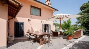 Olivella - Image 5