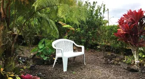 GUEST HOUSE IN HILO - Image 5