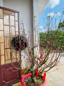 Family homestay from HCMC to Highland Culture - Image 3