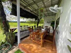 Muji House Resort - Image 2