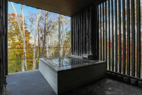 Zaborin - Image 3