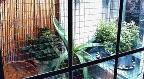 LUXURY LONDON BED AND BATH Holiday Accommodation near Finsbury and Alexandra Park - Image 5